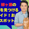 岐阜市 柳ヶ瀬の出会いを見つける完全ガイド！おすすめスポット